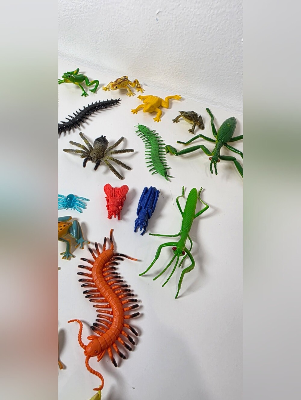 Mixed Color Frogs & Insect Lot - Picture 6 of 6